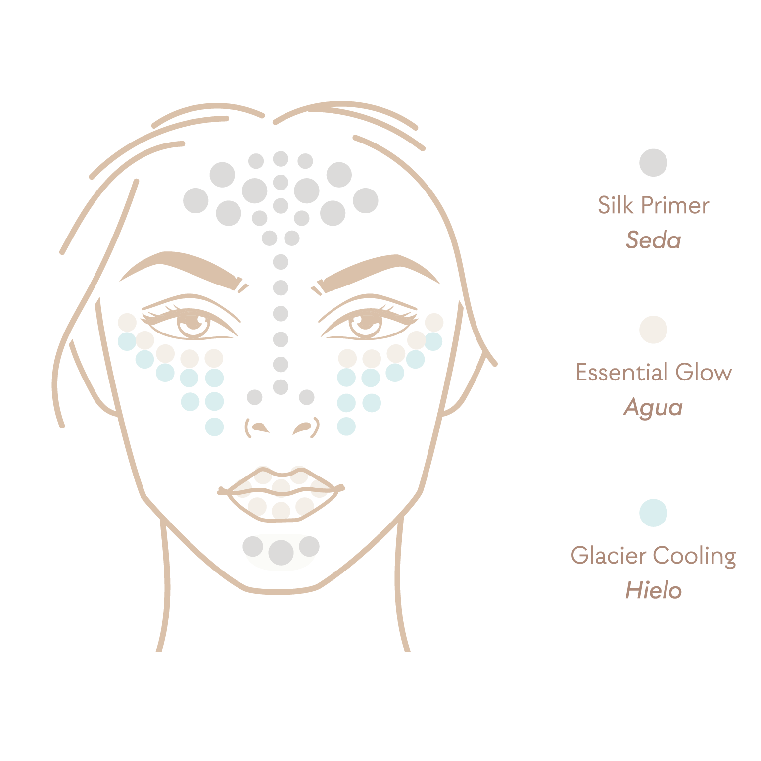 6 Essentials Set