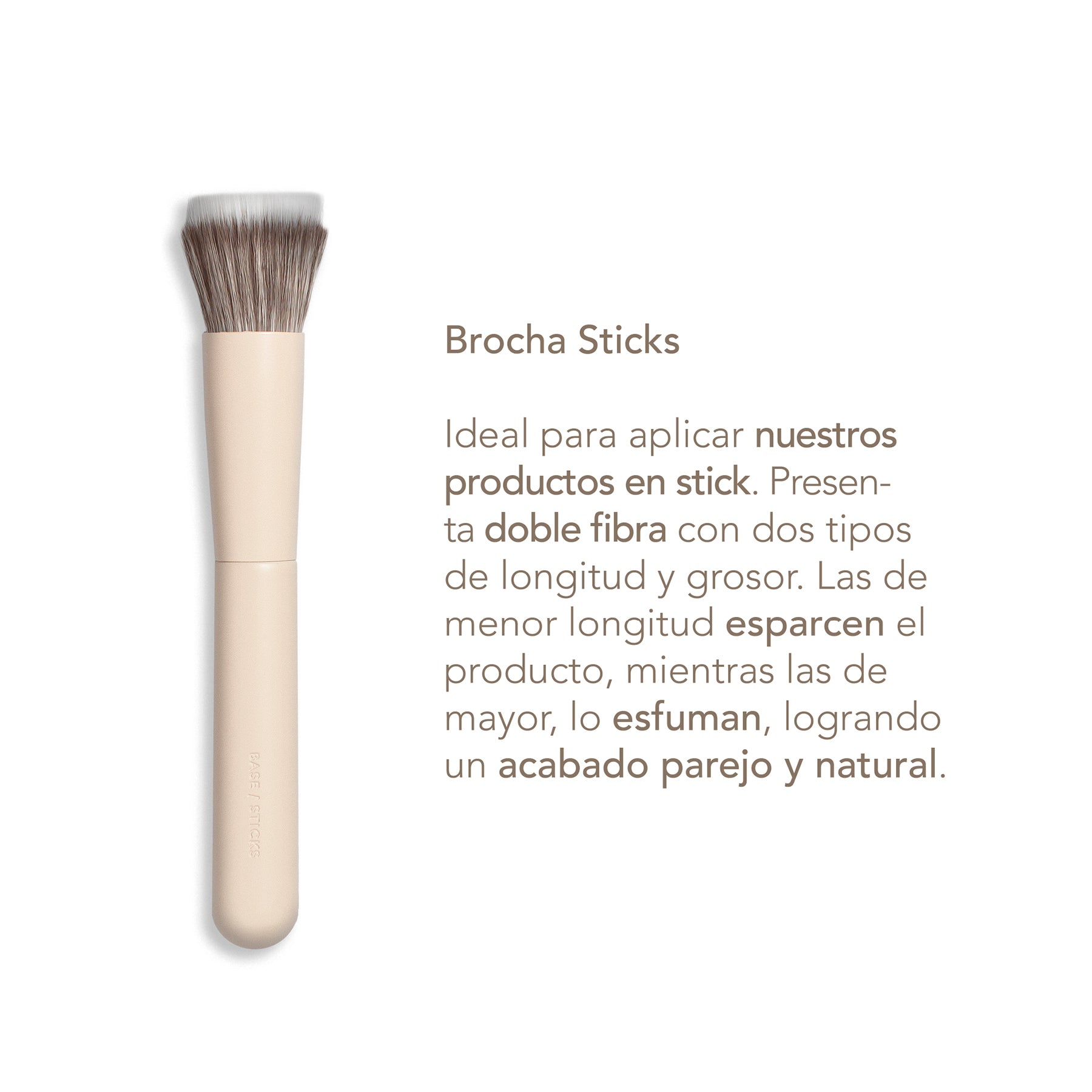 Fundamental Travel Brushes Collection