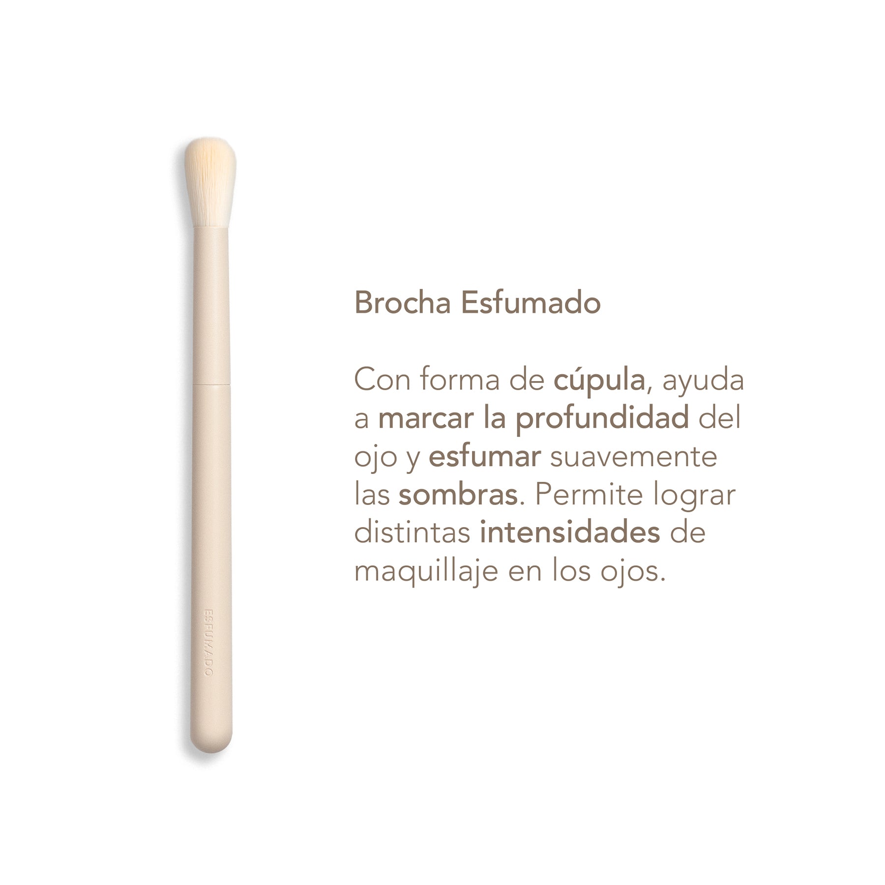 Fundamental Travel Brushes Collection