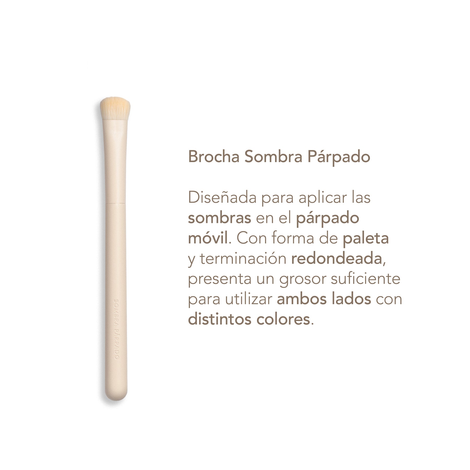 Fundamental Travel Brushes Collection