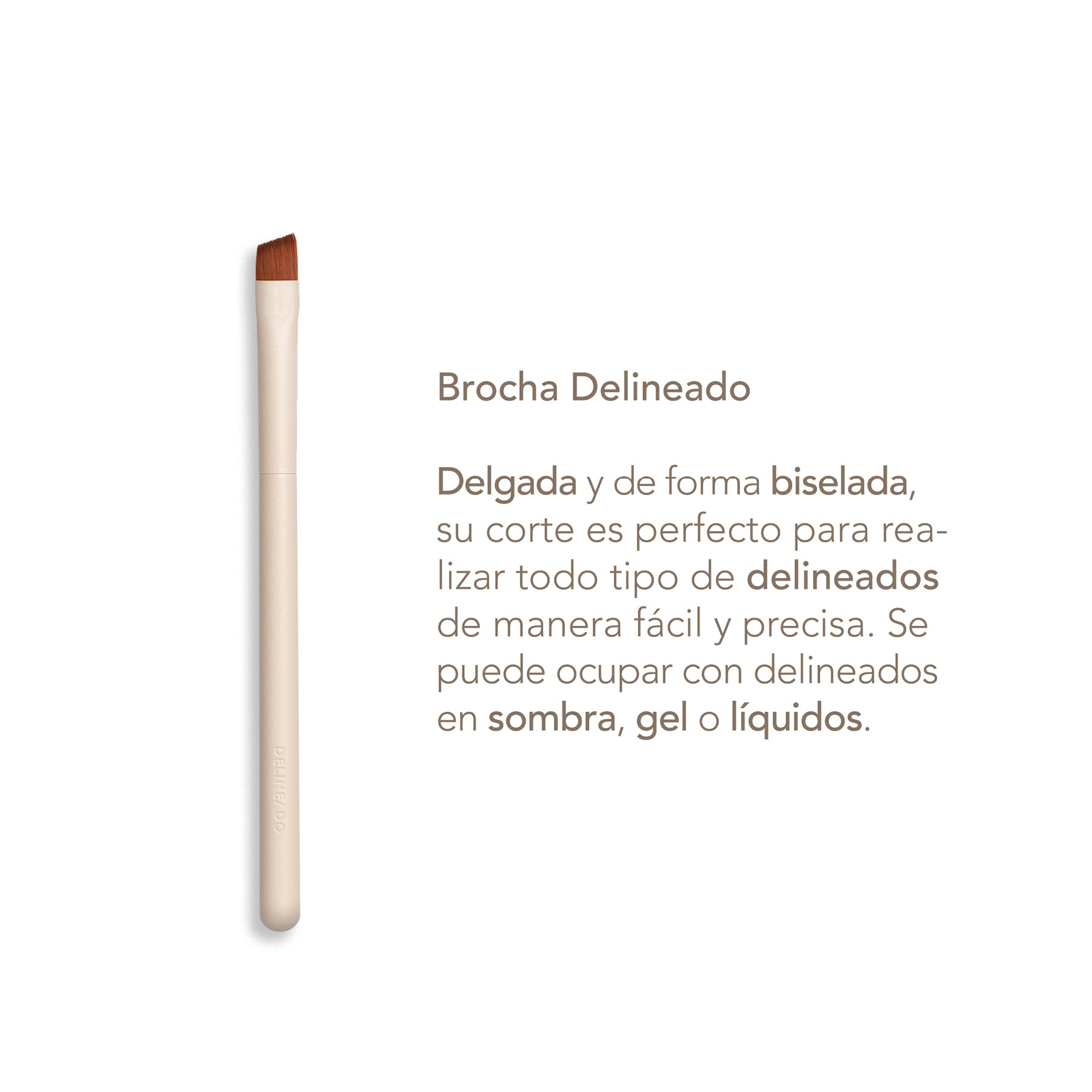 Fundamental Travel Brushes Collection