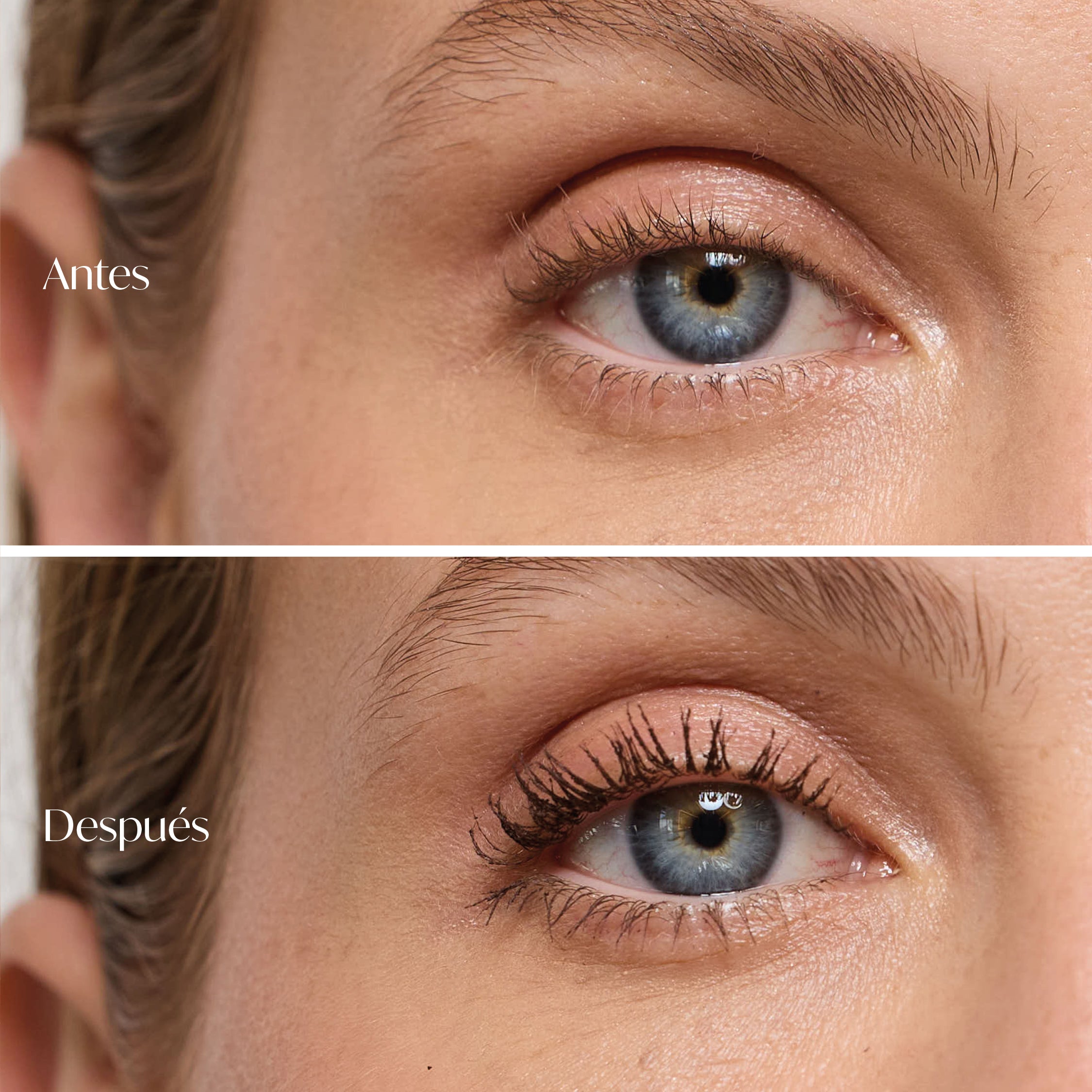 All in One Mascara