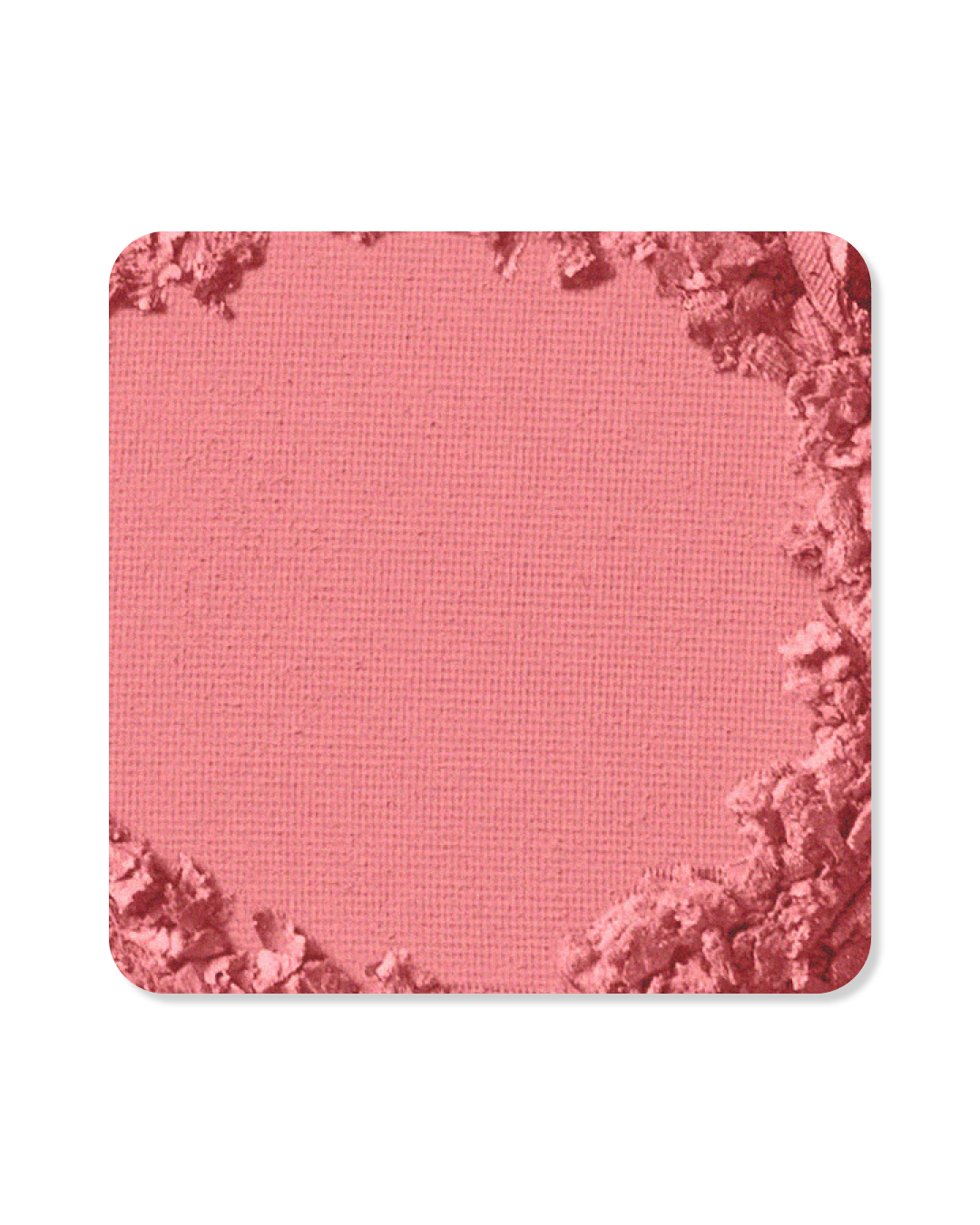 Fundamental Skin Palette